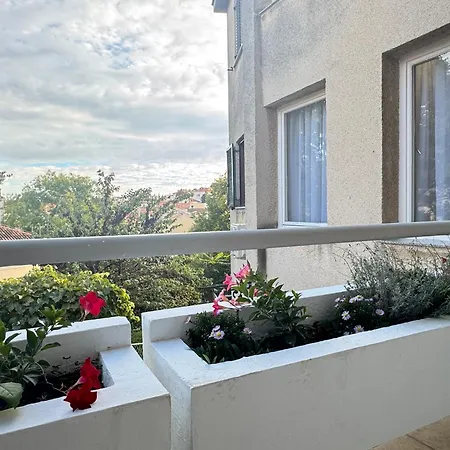 Flowers Pula, Center