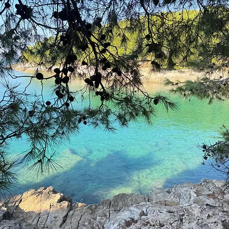 Flowers Pula, Center