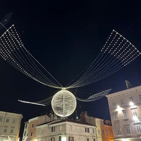 Flowers Pula, Center 풀라