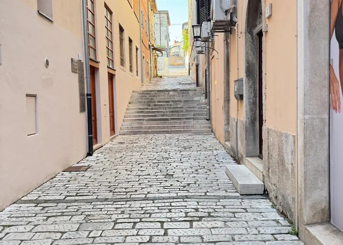 Flowers Pula, Center 풀라