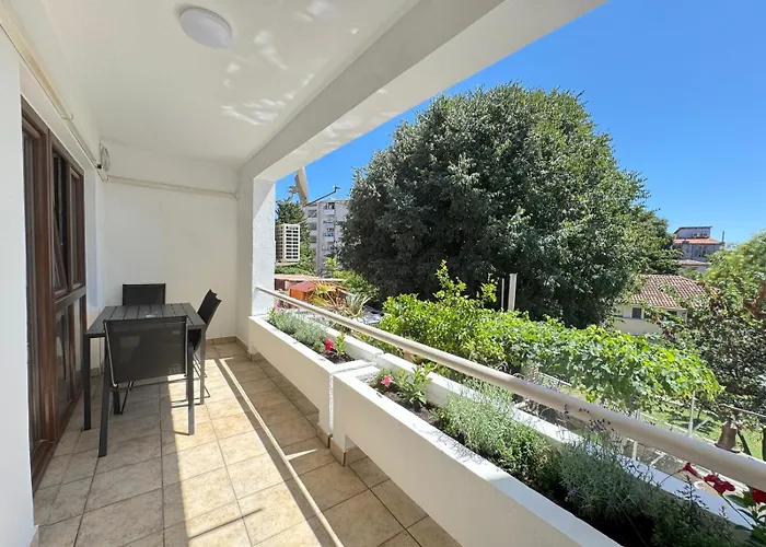 Flowers Pula, Center * 풀라