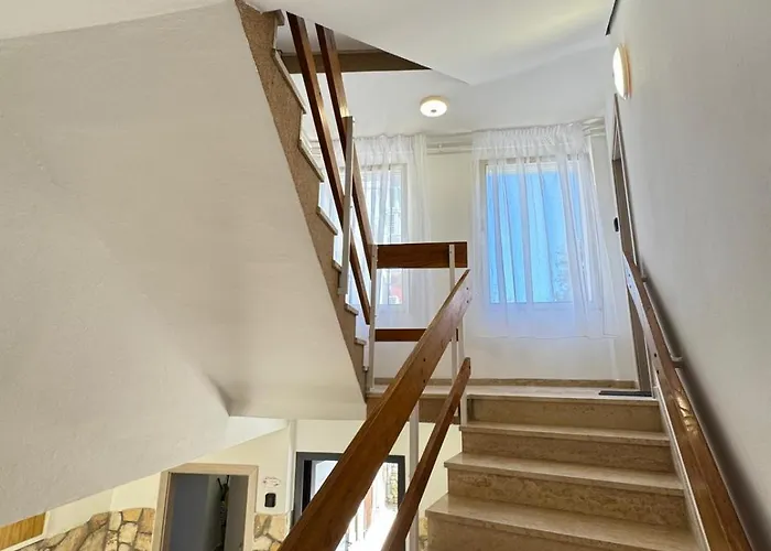 Flowers Pula, Center 풀라