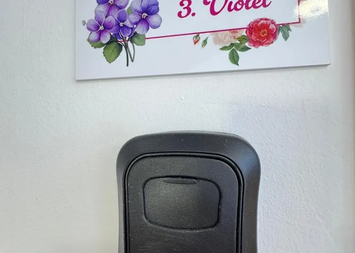 Flowers Pula, Center * 풀라