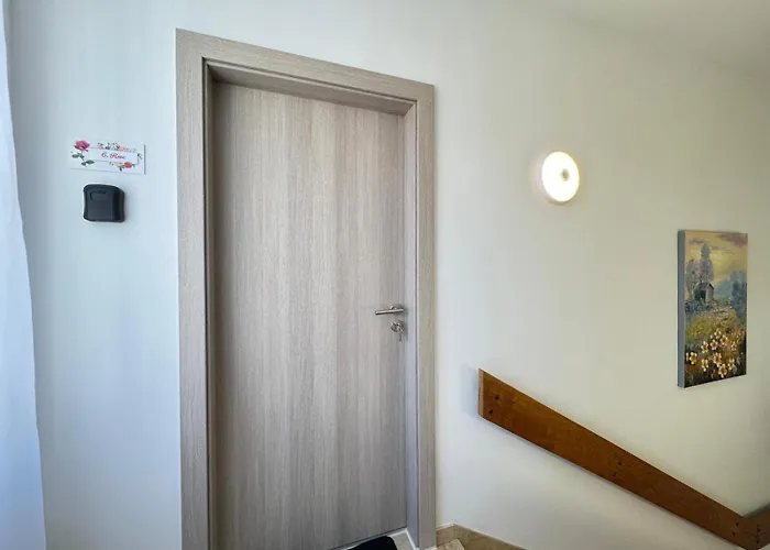 Flowers Pula, Center