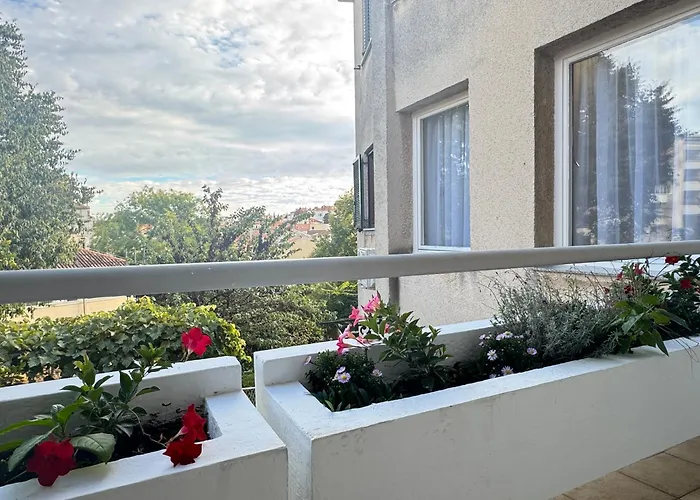 Flowers Pula, Center