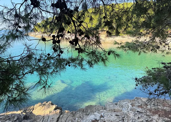 Flowers Pula, Center