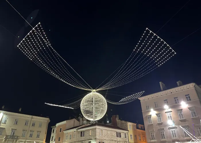 Flowers Pula, Center 풀라