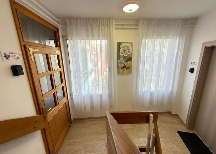 아파트 Flowers Pula, Center *