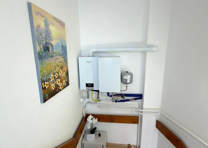 Flowers Pula, Center 풀라